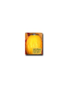 Melon Amarillo-Rugoso Napolitano