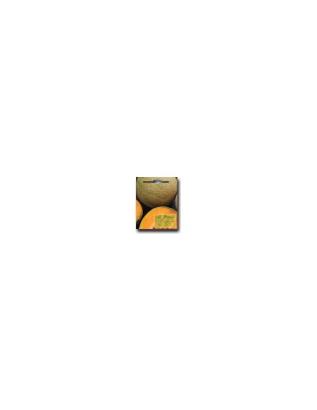 Small Orange Melon