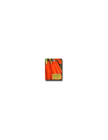 Nantese Carrot