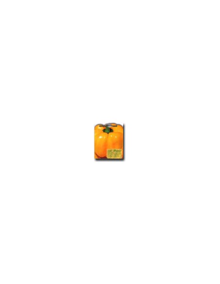 Yellow Square