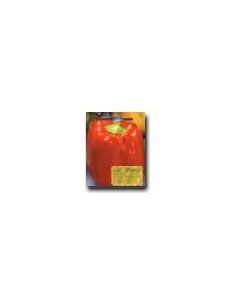 Pimiento Cuadrado