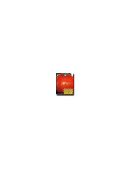Tomate Belmonte
