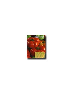 Pomodoro Costoluto Fiorentino