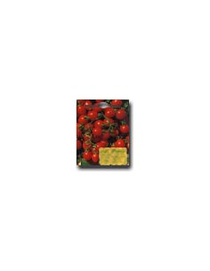 Principe Borghese Tomato