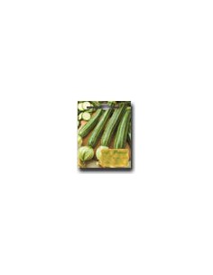 Striated Squash of Italy