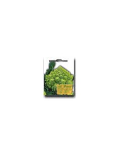 Col Romanesco