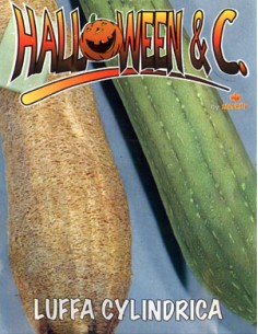 Luffa Cylindrica