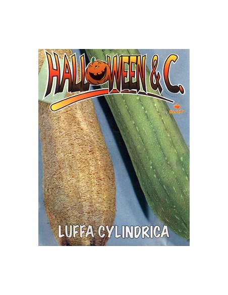 Loofah ( Luffa Cylindrica )