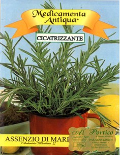 Ajenjo de Mar