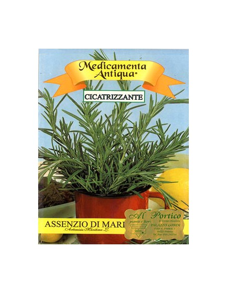 Ajenjo de Mar