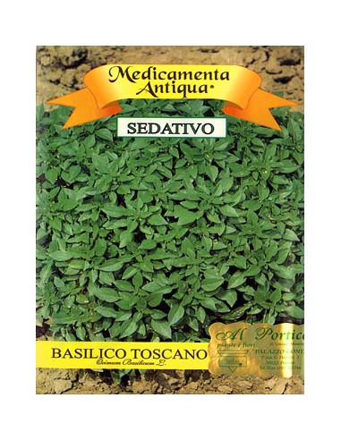 Basilico Toscano