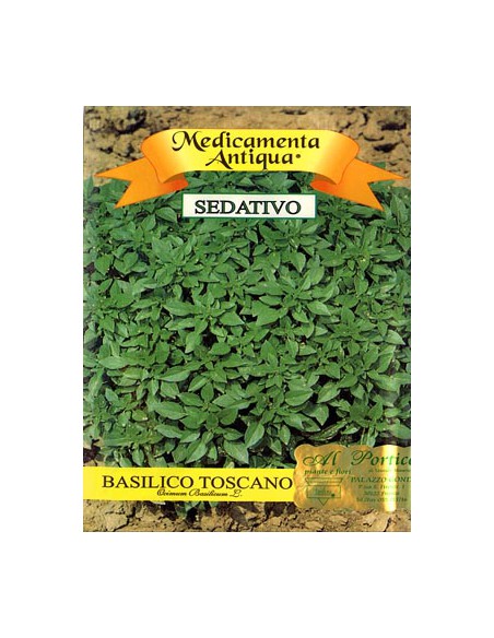 Albahaca Toscana