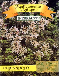 Coriandolo