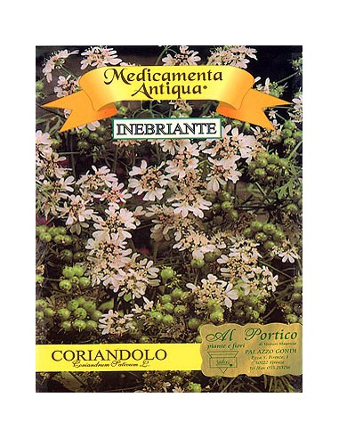 Coriandolo