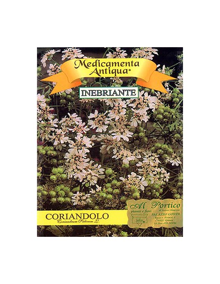 Coriandolo