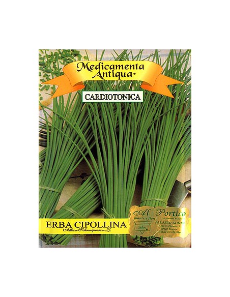 Chives