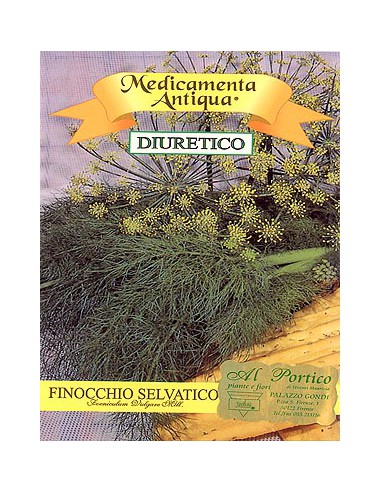 Wild Fennel
