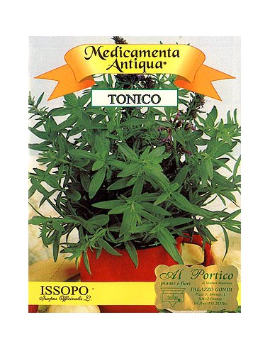 Hyssop