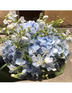 Ortensie celesti e splendido delphinium