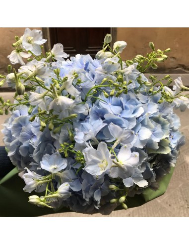Ortensie celesti e splendido delphinium