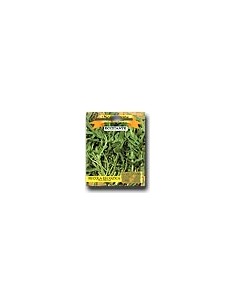 Rucola salvaje