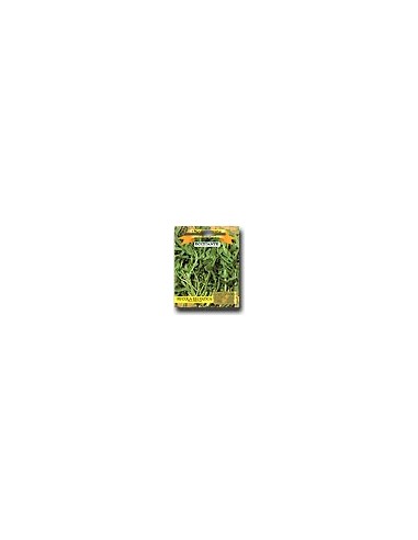 Rucola salvaje