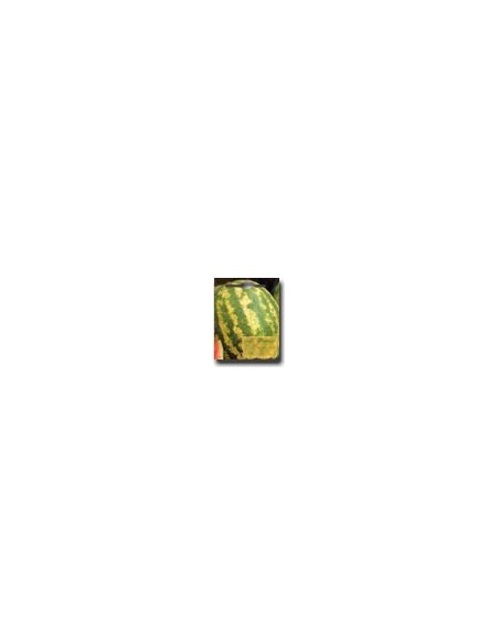 Crimson Sweet Watermelon