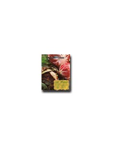 Ball-Shaped Red Chicory