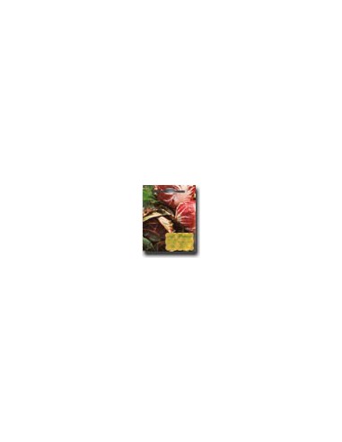 Ball-Shaped Red Chicory