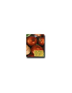 Cebolla Roja Plana de Italia