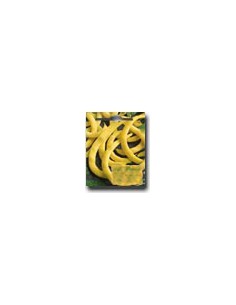 Fagioli Rampicante Anellino Giallo