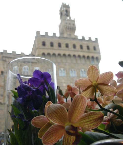 Piante, fiori, semi e bouquet, nel cuore di Firenze